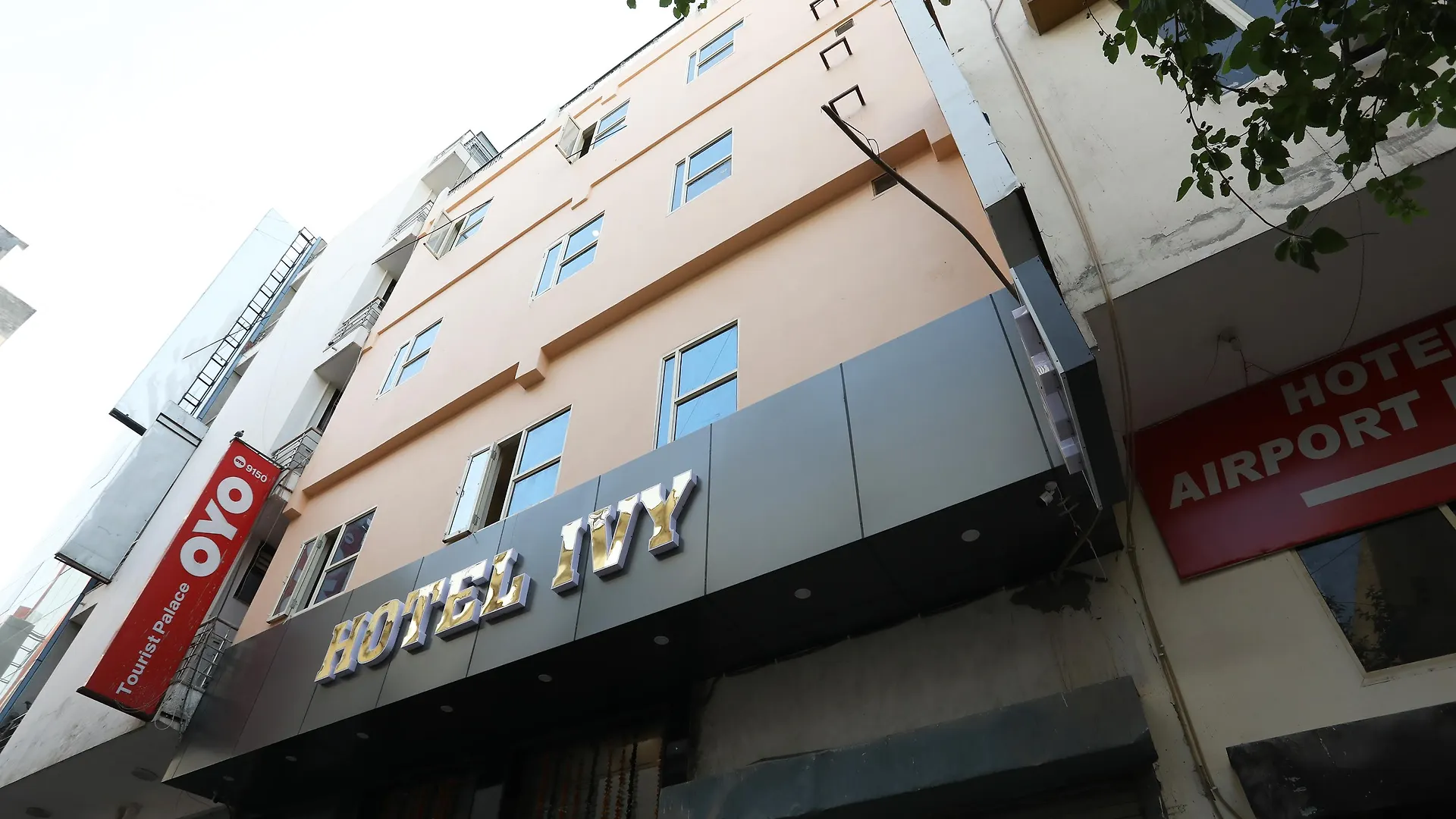Hotel Ivy New Delhi