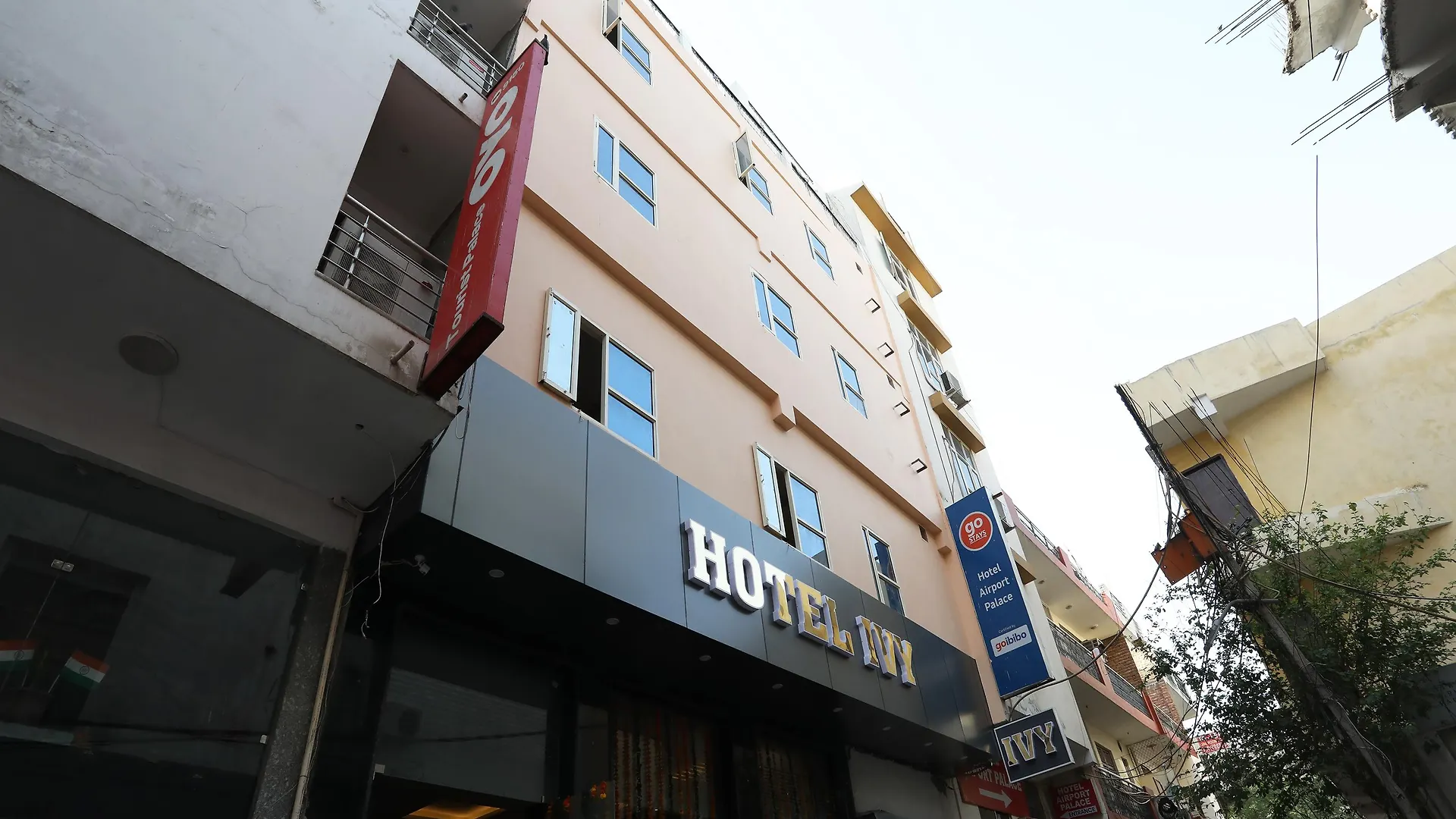 Oyo30462常春藤酒店 新德里 印度